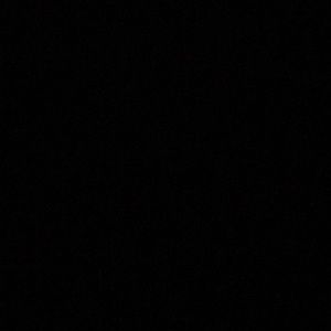 Meet your Posher, Bailey